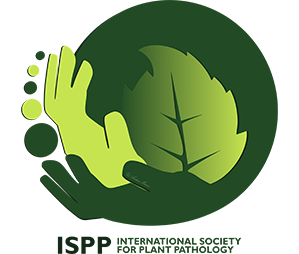 SFP
