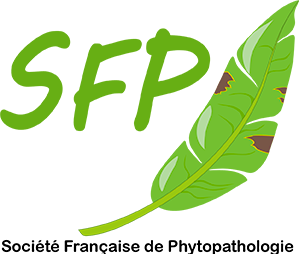 SFP