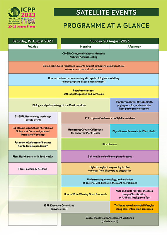 Programme Satellite Event
