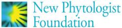 NEW PHYTOLOGIST FOUNDATION