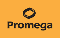 PROMEGA