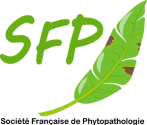 SFP