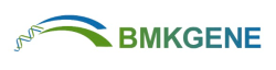 Bmkgene