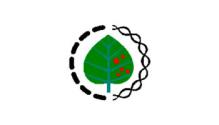 CIPAV
