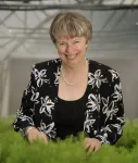 Brenda Wingfield